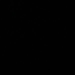 Meet your Posher, Rheanan